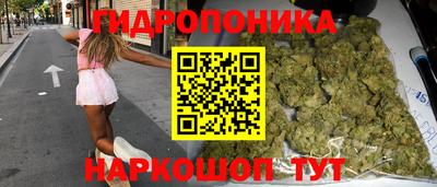 Альфа ПВП Новозыбков
