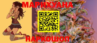 Альфа ПВП Новозыбков
