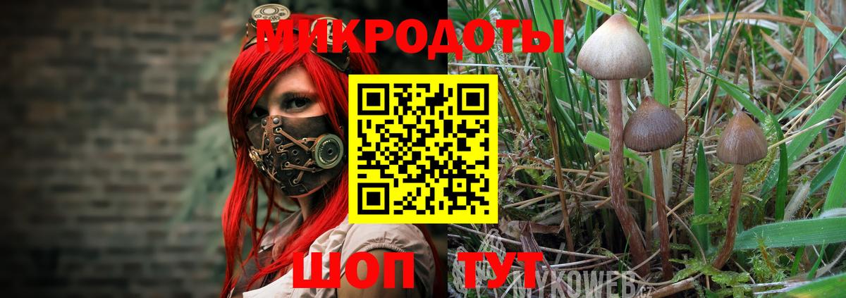 Галлюциногенные грибы MAGIC MUSHROOMS  Вход с VPN  Галлюциногенные грибы Magic Shrooms  Северобайкальск 
